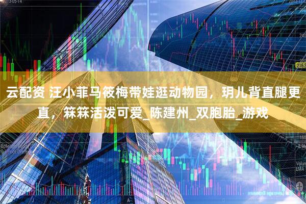 云配资 汪小菲马筱梅带娃逛动物园，玥儿背直腿更直，箖箖活泼可爱_陈建州_双胞胎_游戏