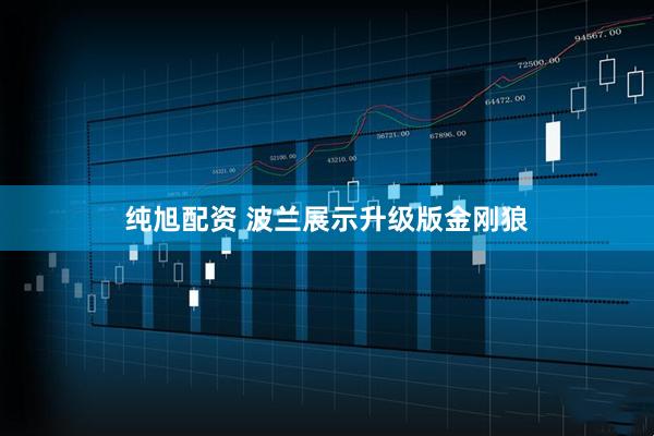 纯旭配资 波兰展示升级版金刚狼