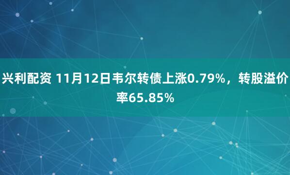 兴利配资 11月12日韦尔转债上涨0.79%,转股溢价率65.85%
